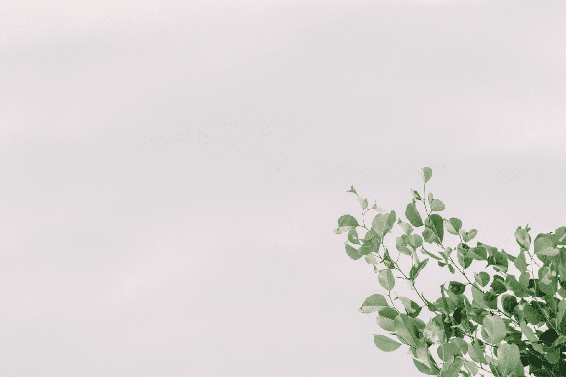 Loja Saúde Online Phytofarm logo
